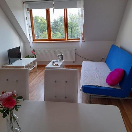 Riegrova Appartement Ceske Budejovice Buitenkant foto