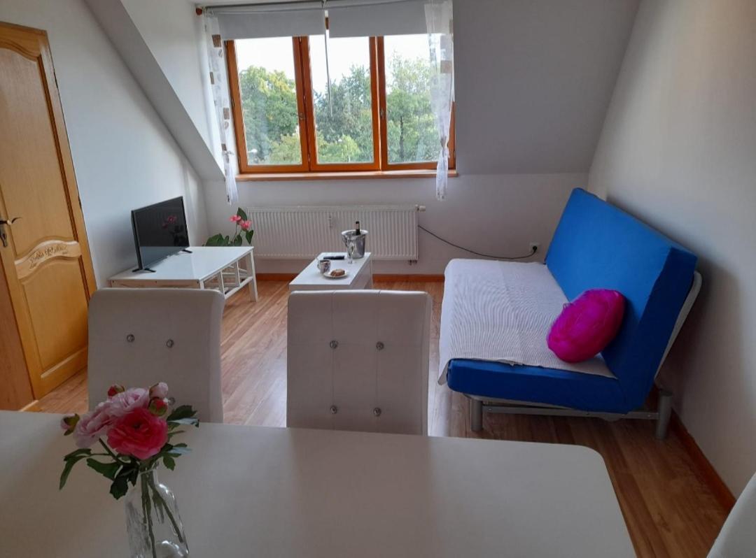 Riegrova Appartement Ceske Budejovice Buitenkant foto